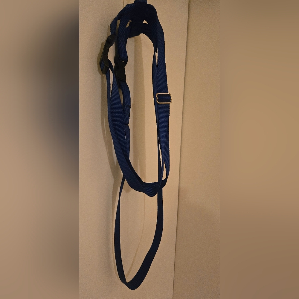 Blue Adjustable Strap - Picture 2 of 3